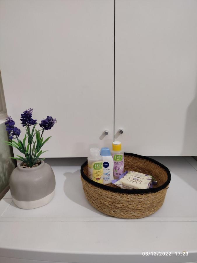 Bolo Guesthouse 博洛尼亚 外观 照片
